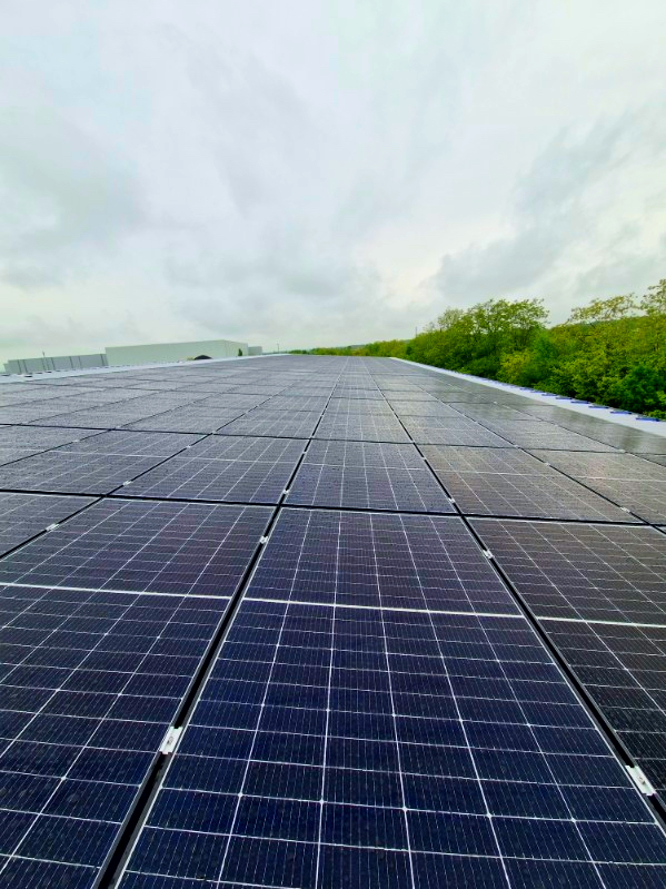 Installation photovoltaïque sur toiture plate avec végétation en arrière-plan